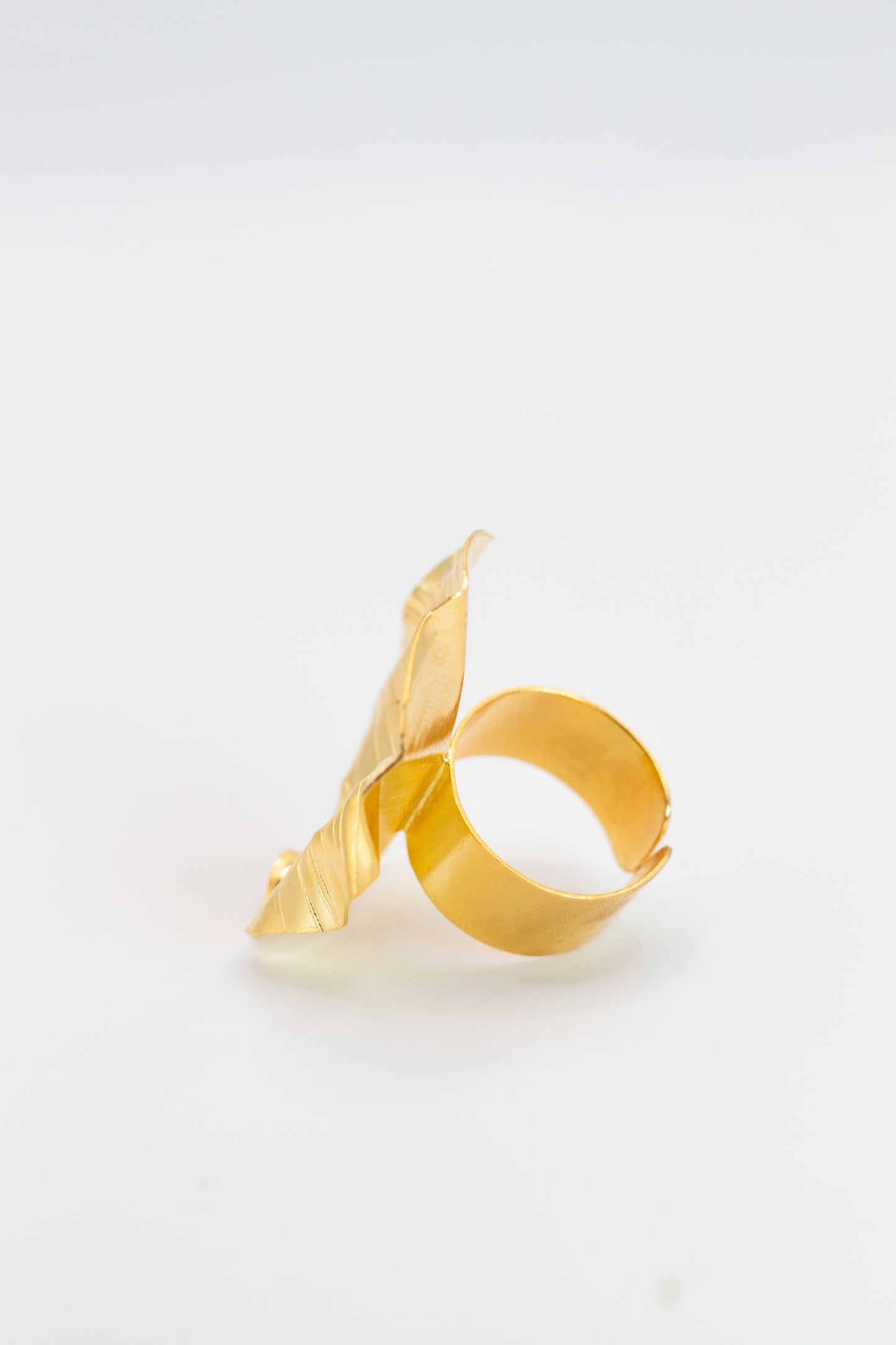 ANILLO CIRCULO CON ONDAS