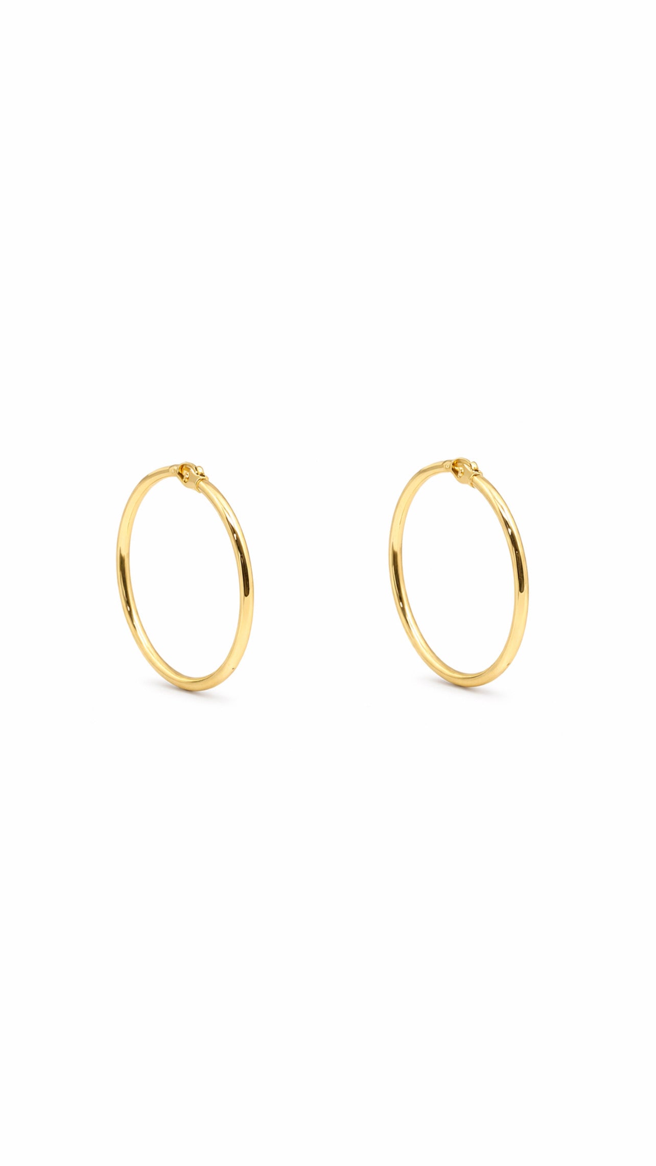 ARGOLLAS LIZAS