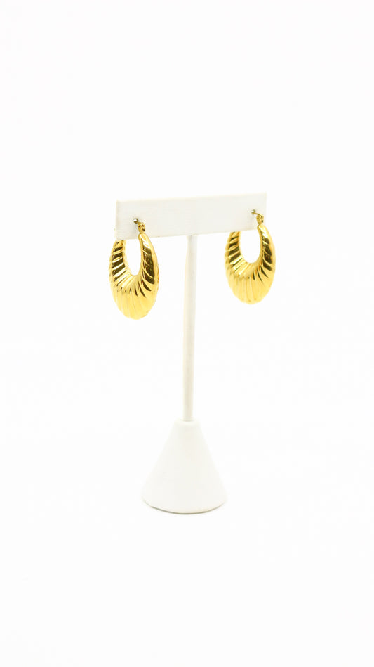 ARGOLLAS CAMI