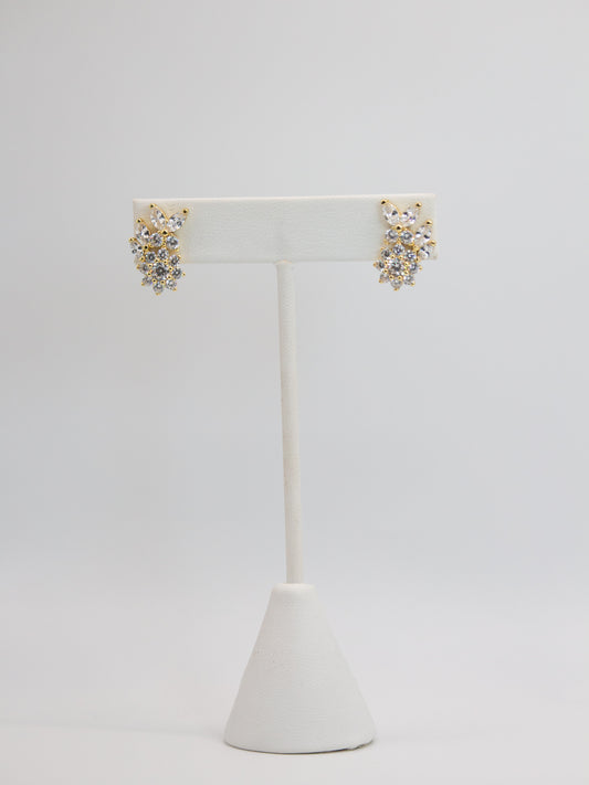 ARETES ROSS