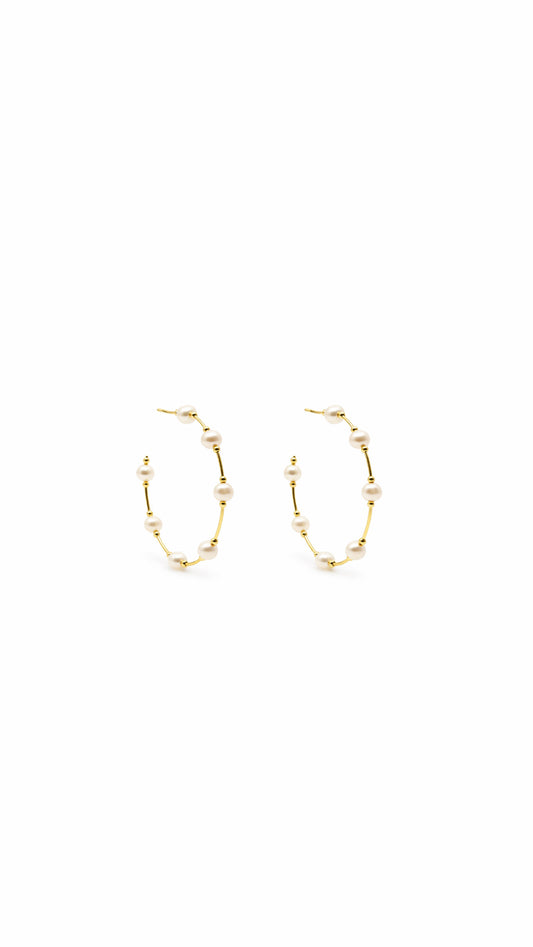 ARGOLLAS PERLAS