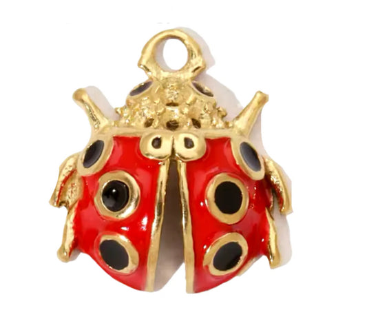 DIJE LADYBUG