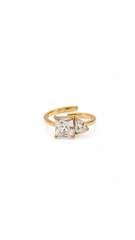 ANILLO DBL