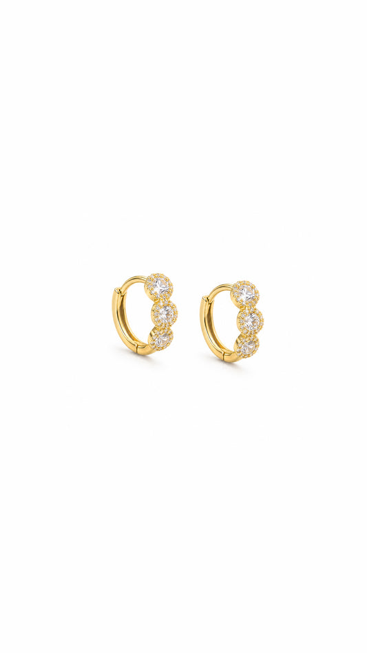 ARGOLLAS ZC